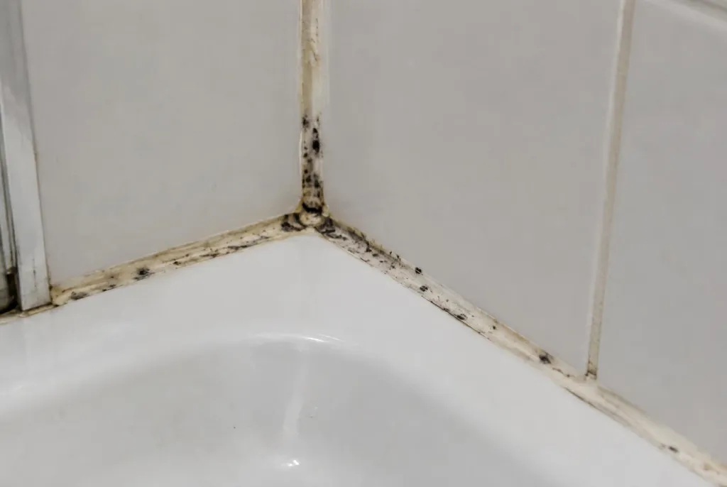 Kitbedrijf Delft – beschimmelde kitranden